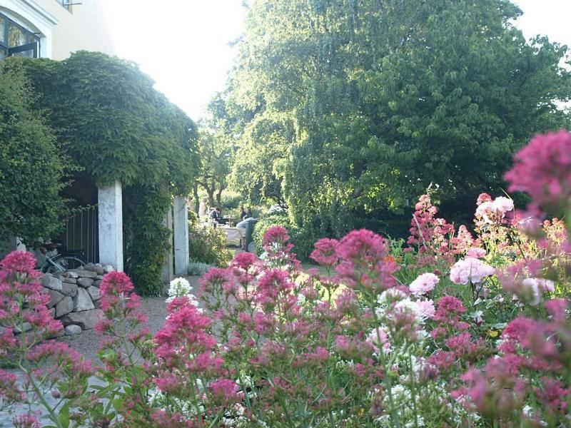 Danchelshus Bed & Breakfast Allinge-Sandvig Exterior photo
